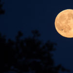 LUNE