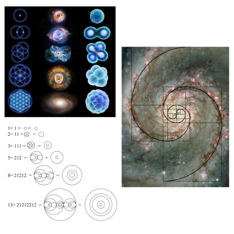 NOMBRE D'OR en photo : spirale de Fibonacci, etc.