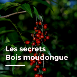 Les secrets bois moudongue