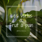 Les vertus du Fruit à pain