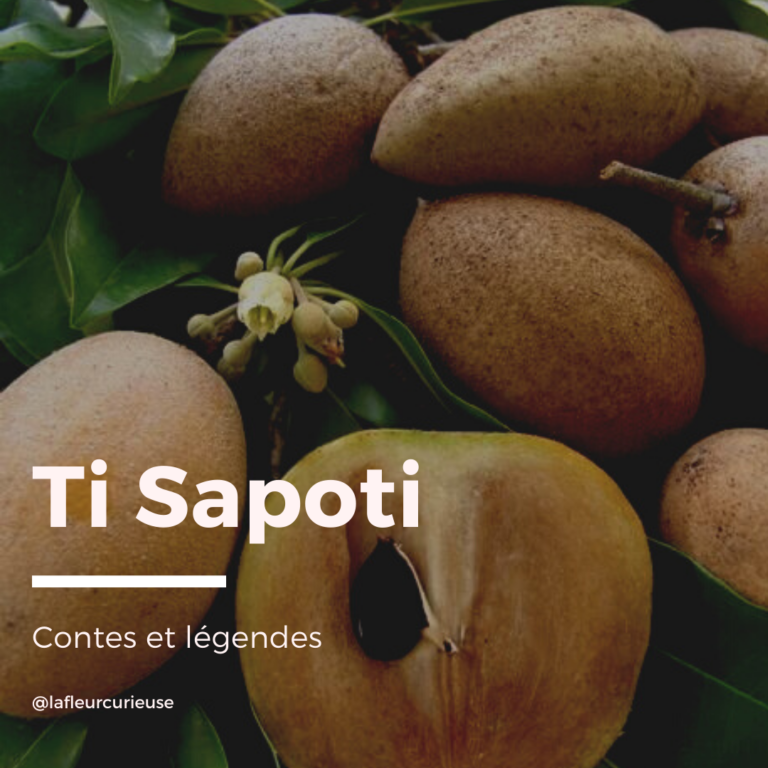 ti sapoti