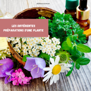Les différentes préparations d'une plante