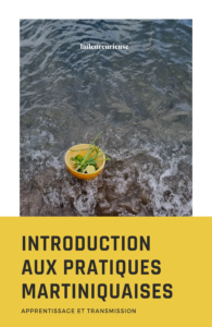 Introduction aux pratiques martiniquaises