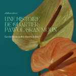 Un histoire de quartier pawol gran moun