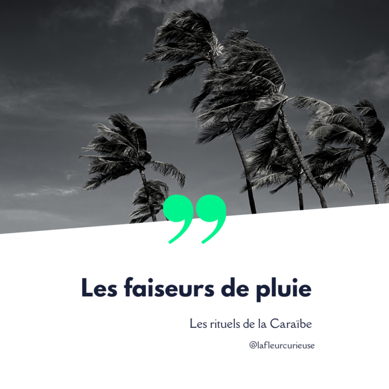 les faiseurs de pluie