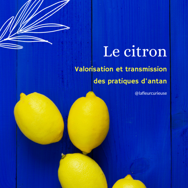 Le citron