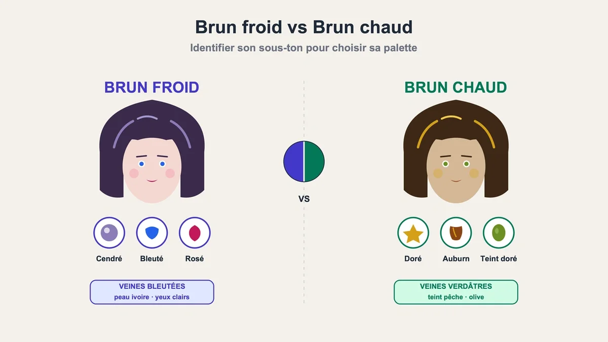 Illustration comparant les nuances de brun chaud et brun froid avec pictogrammes de sous-tons