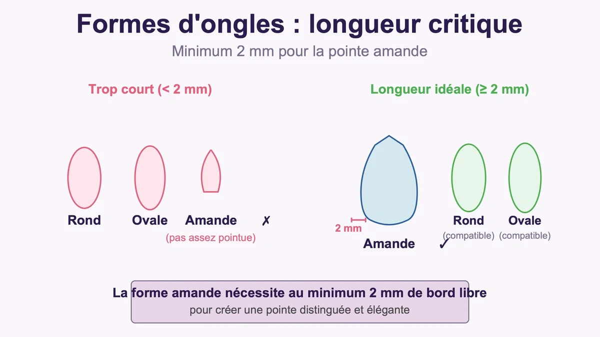 Comparaison visuelle des longueurs d'ongles en forme amande, ronde et ovale