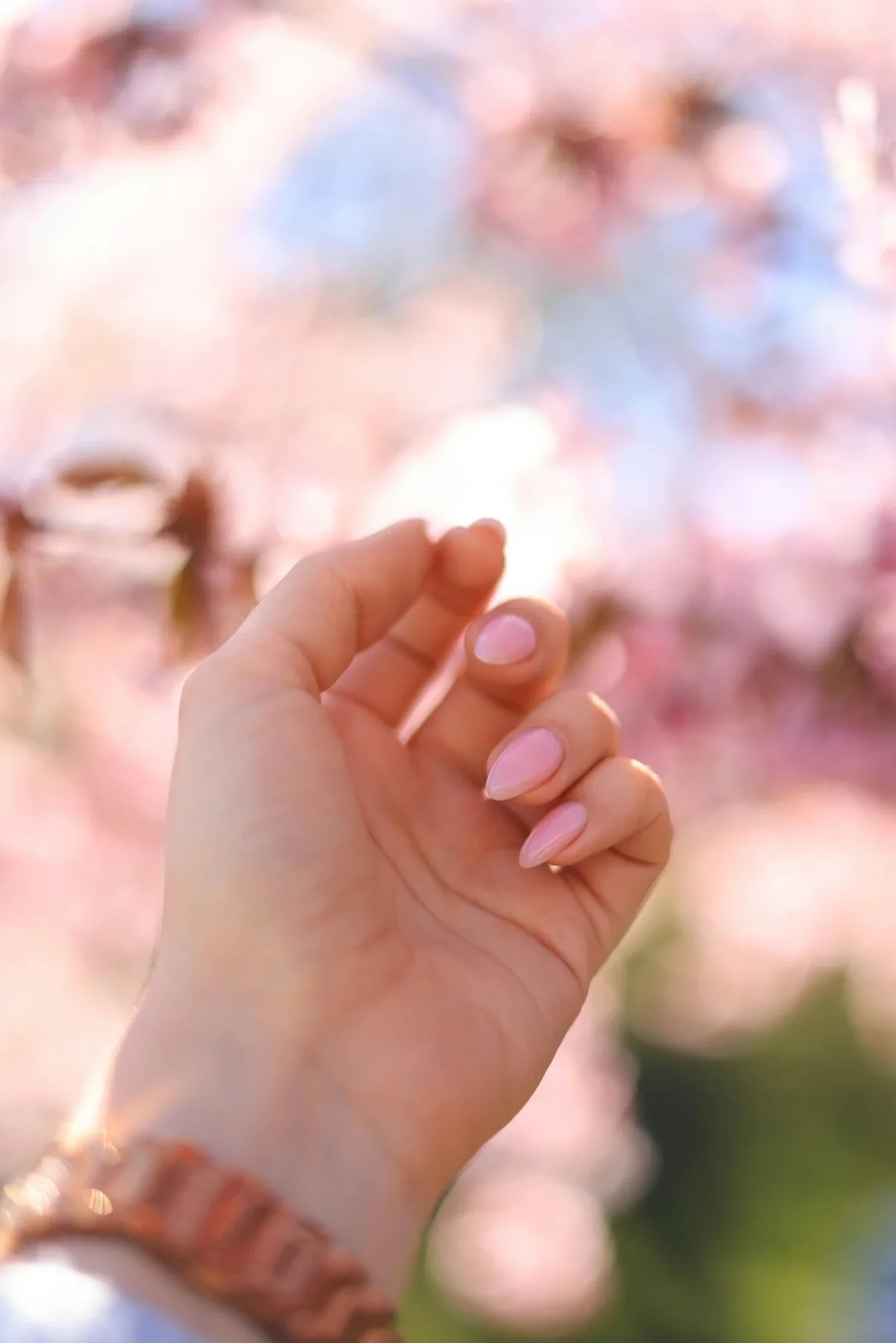 manucure en forme d'amende