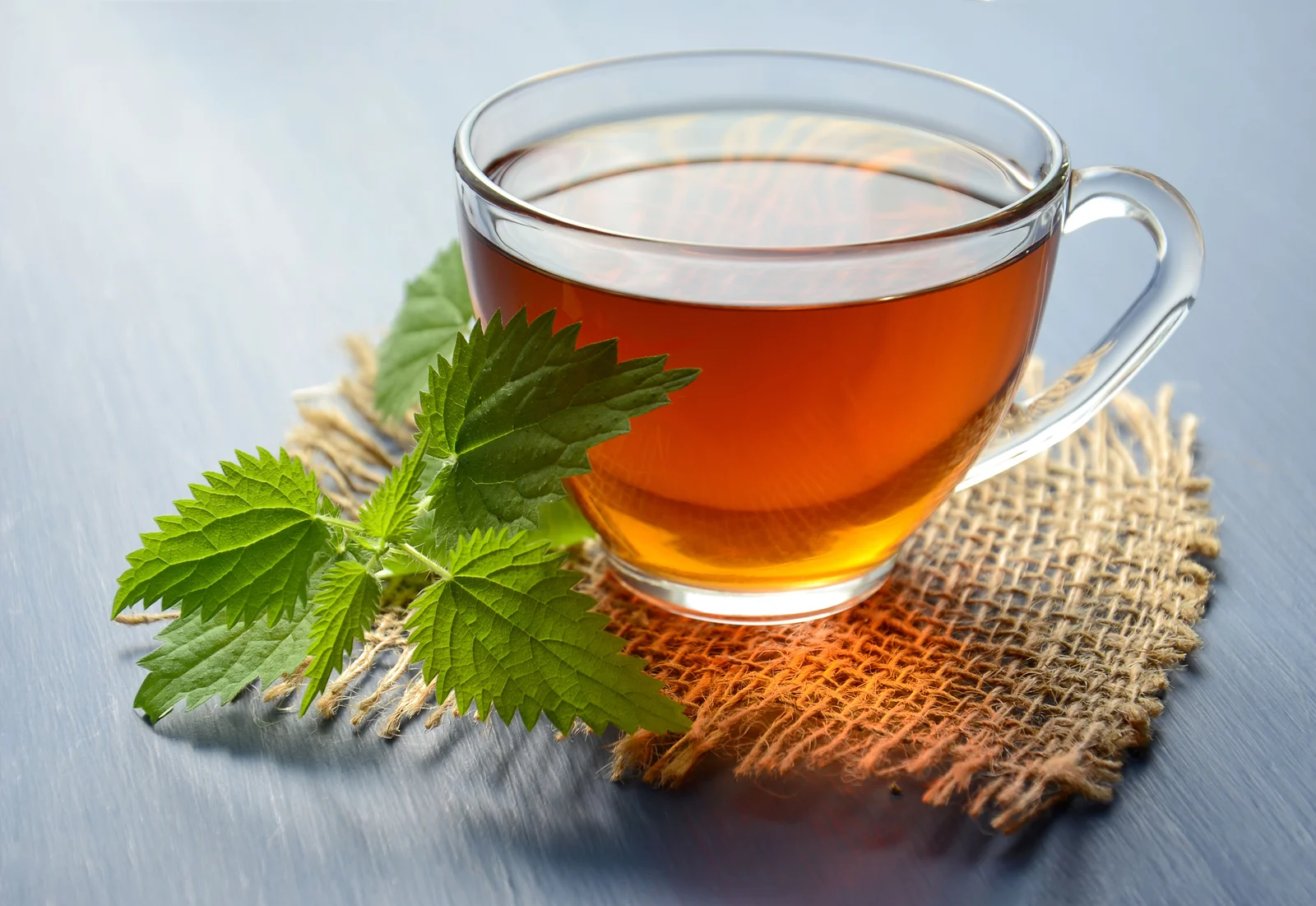 Tasse d'infusion aux plantes posée sur une table