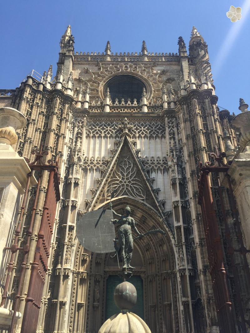 seville la fleur curieuse